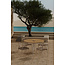 5-teilige Garten-Essgruppe San Vito & Alfons – Skandinavische Leichtigkeit in Beige
