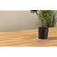 Gartentisch Break Beige – Robuster Mittelpunkt im Garten