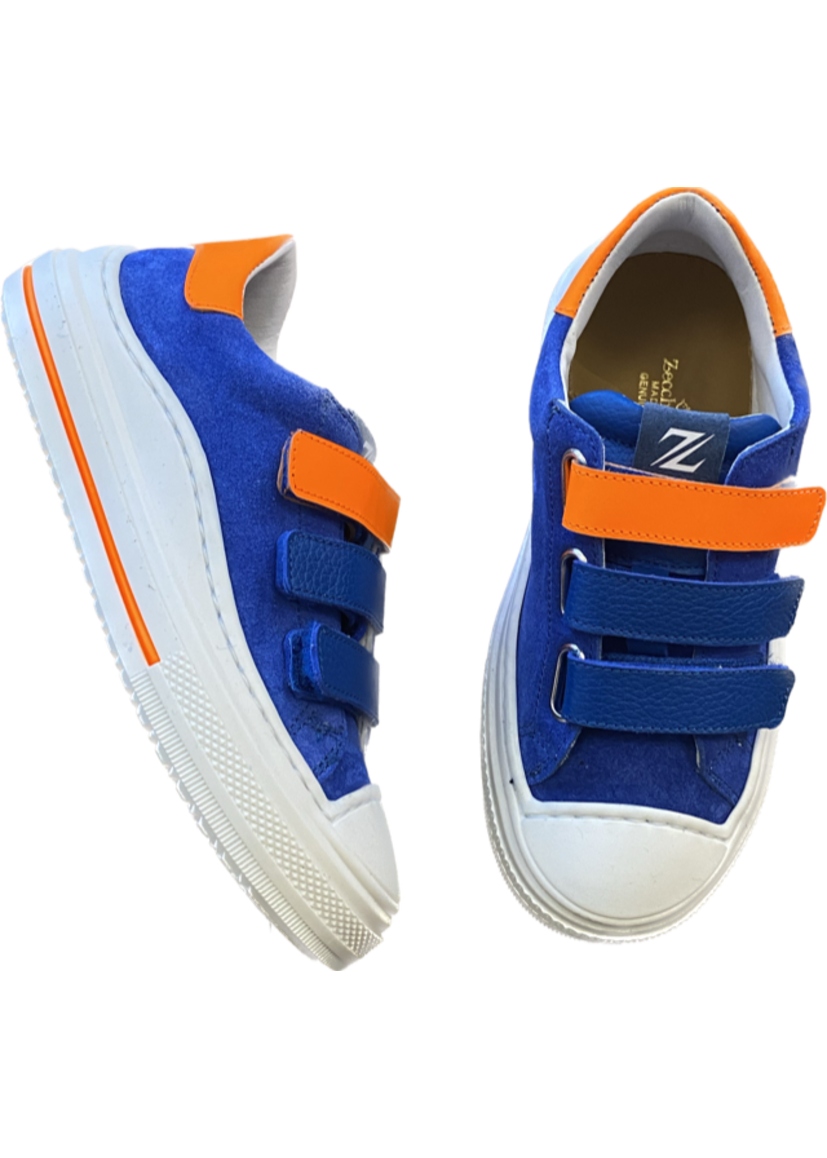 ZECCHINO D’ORO ZECCHINO D’ORO KLB BLAUW/ORANJE