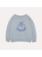 THE CAMPAMENTO CAMPAMENTO sweater blauw apple summer