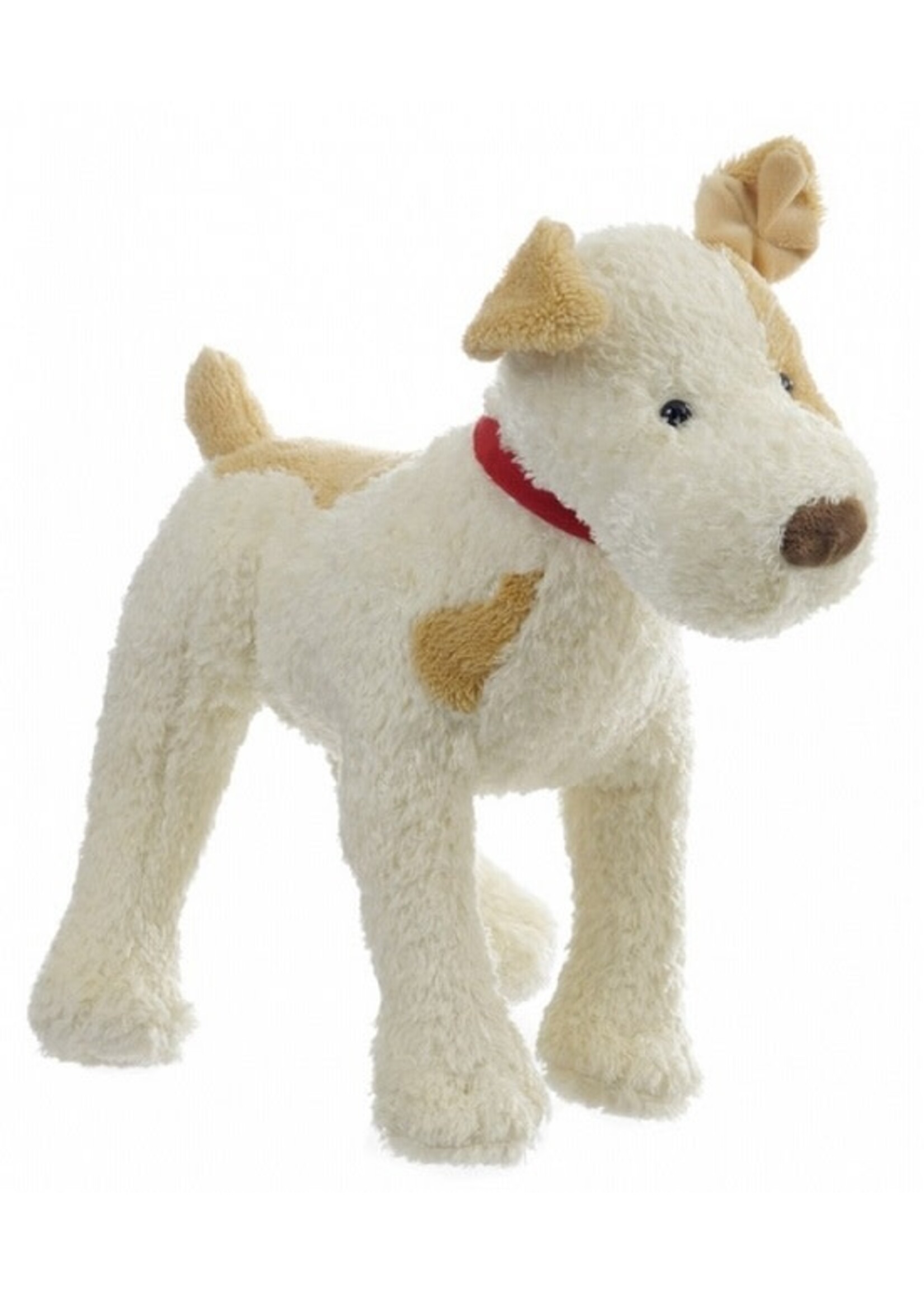 KNUFFEL  hond ELIOT