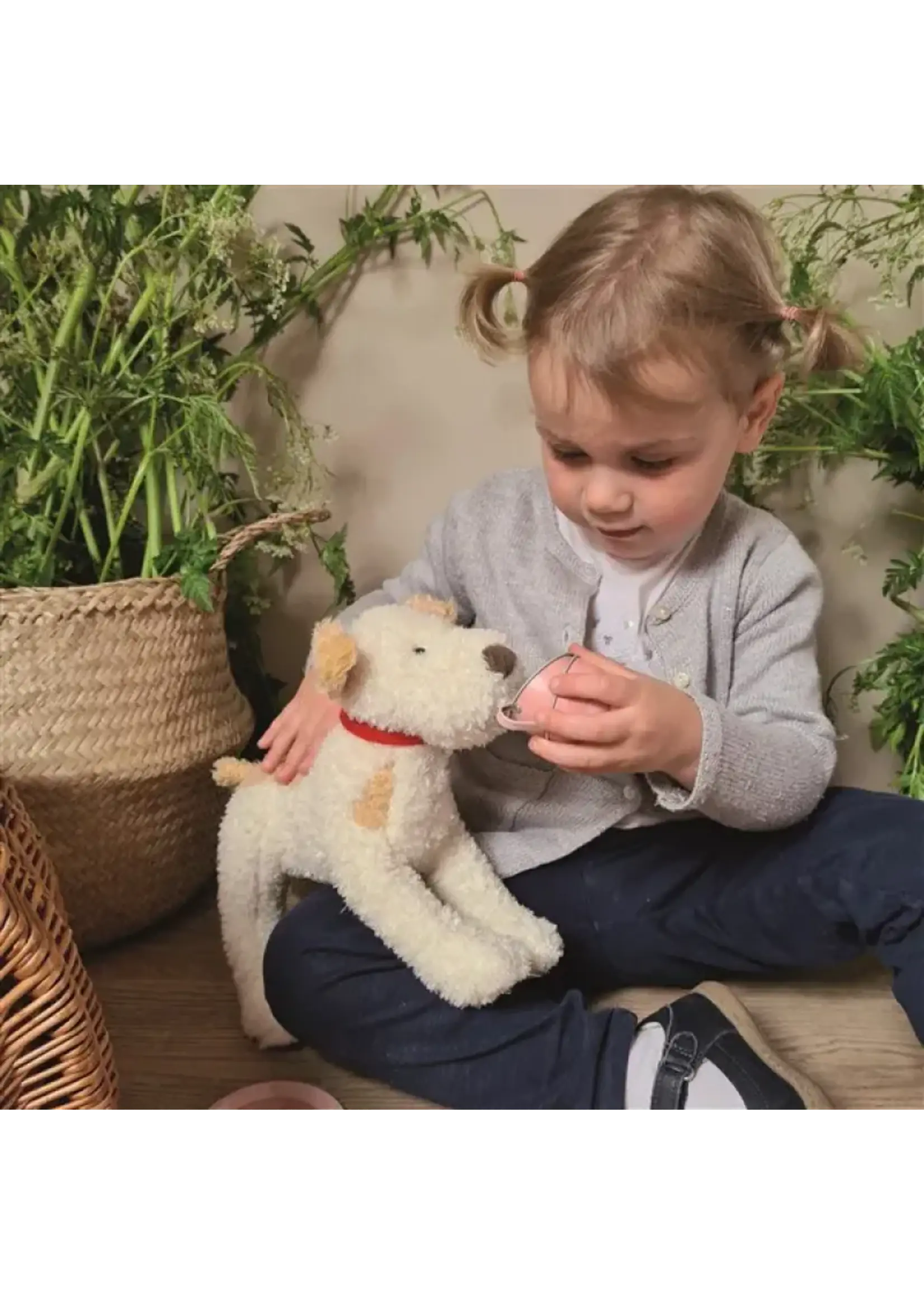 KNUFFEL  hond ELIOT