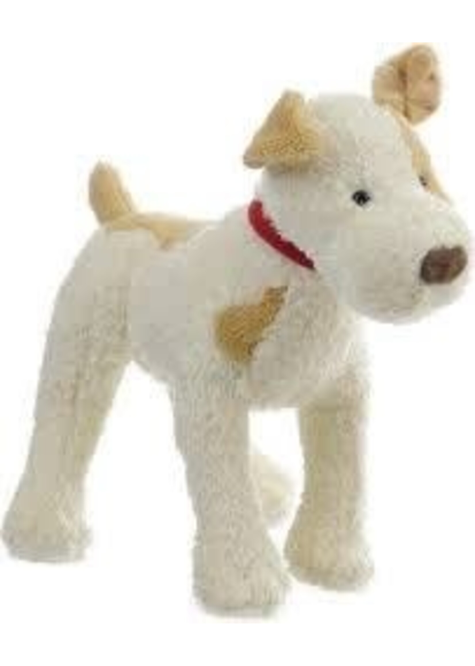 KNUFFEL  hond ELIOT