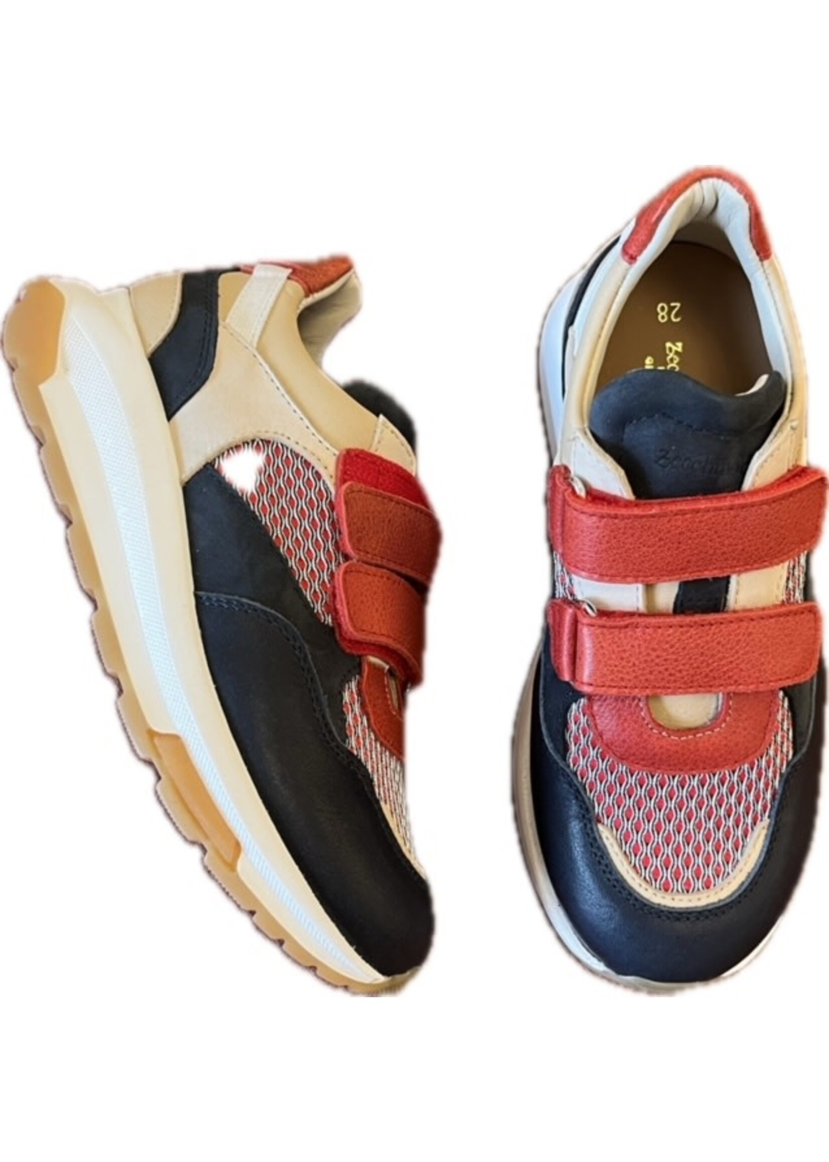 ZECCHINO D’ORO ZECCHINO D’ORO runner KLB DB/B/R