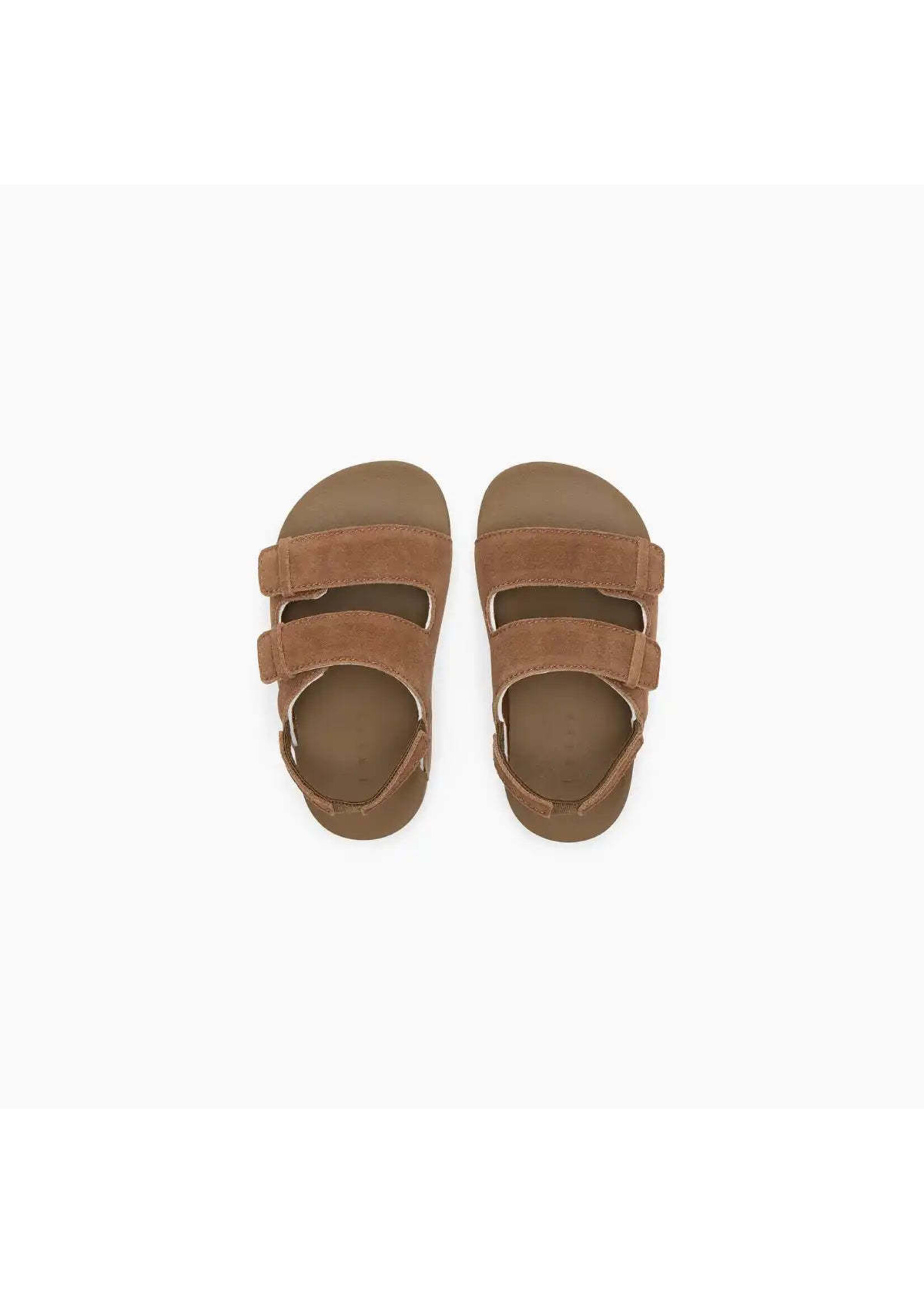 REEF REEF  TROPICAL LITTLE OJAI