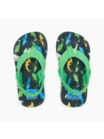 REEF REEF  TROPICAL MULTI SHARK