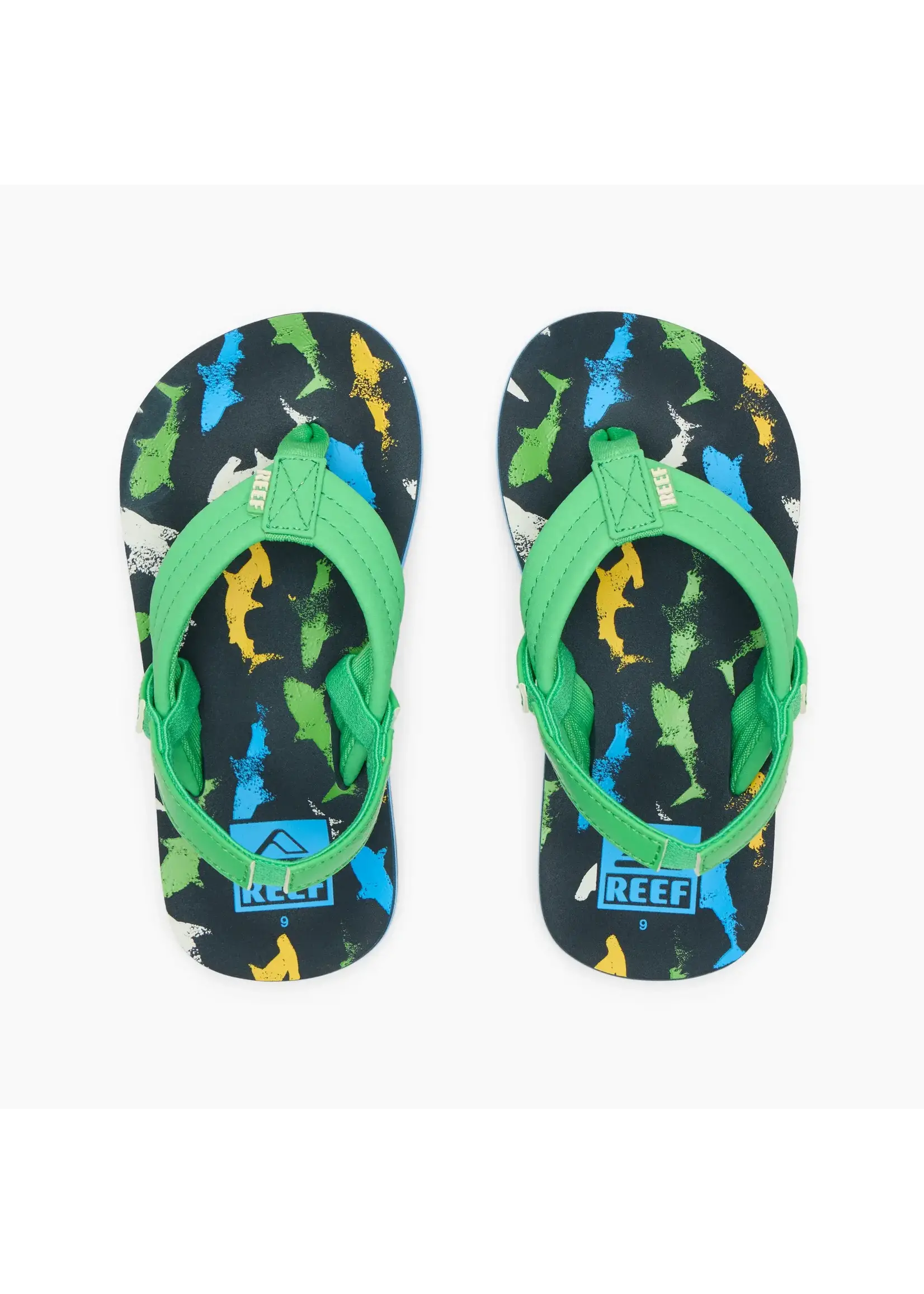 REEF REEF  TROPICAL MULTI SHARK