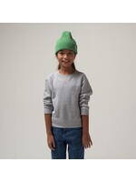 GOSOAKY #GOSOAKY red dragon APPLE GREEN
