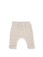 1+IN THE FAMILY #1+ IN THE FAMILY BOTTOMS VICENS