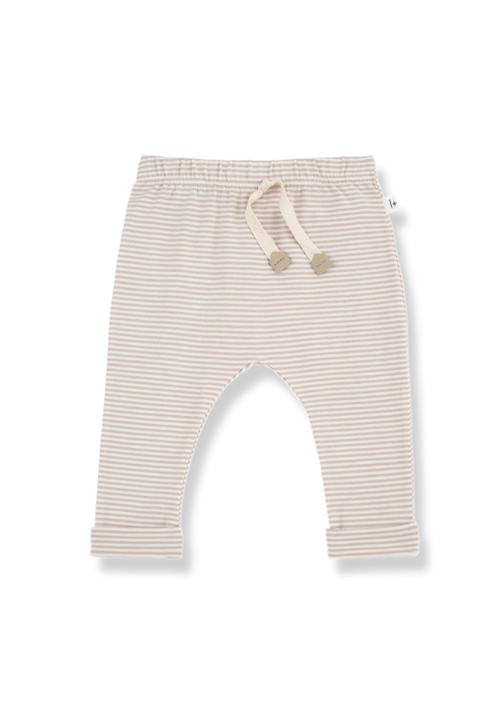 1+IN THE FAMILY #1+ IN THE FAMILY BOTTOMS HUGO
