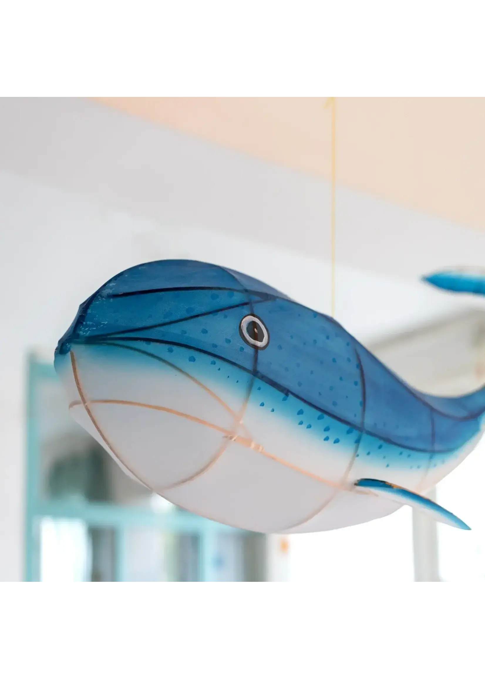 PETIT PAN lampion BALEINE S (50cm)