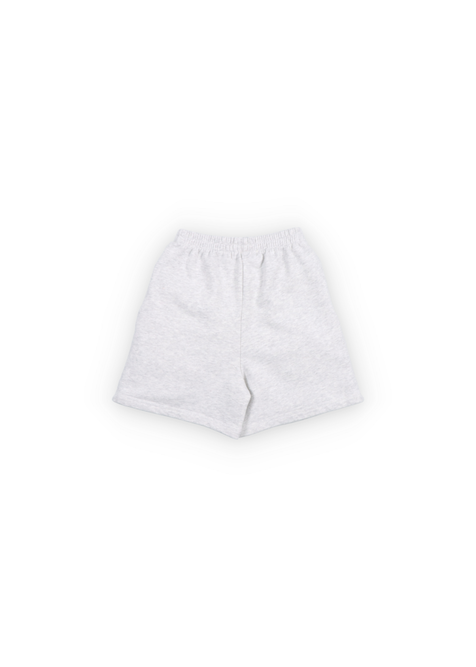 THE NEW SOCIETY THE NEW SOCIETY short  TNS LOGO