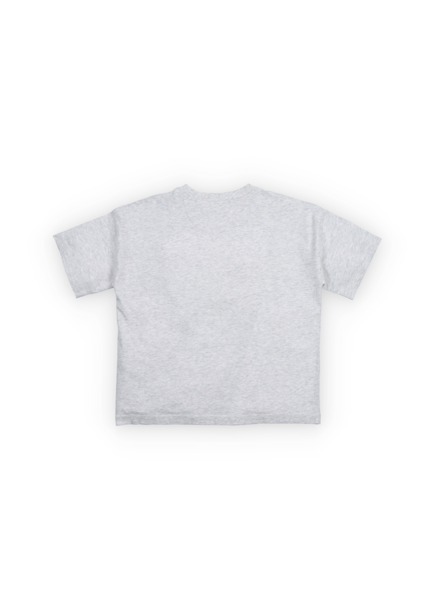 THE NEW SOCIETY THE NEW SOCIETY t-shirt TNS LOGO