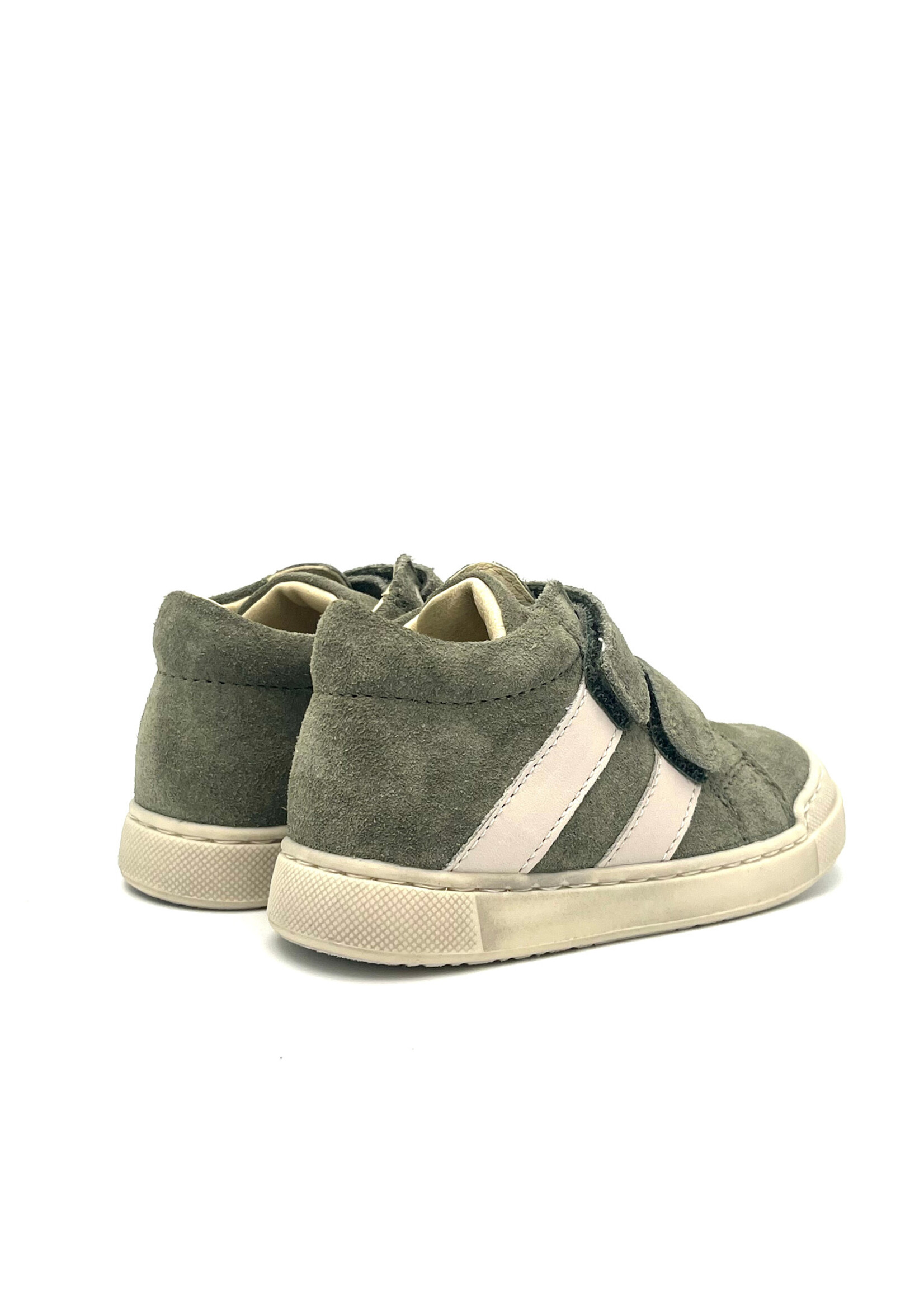 FALCOTTO FALCOTTO gazer OLIVE-MILK