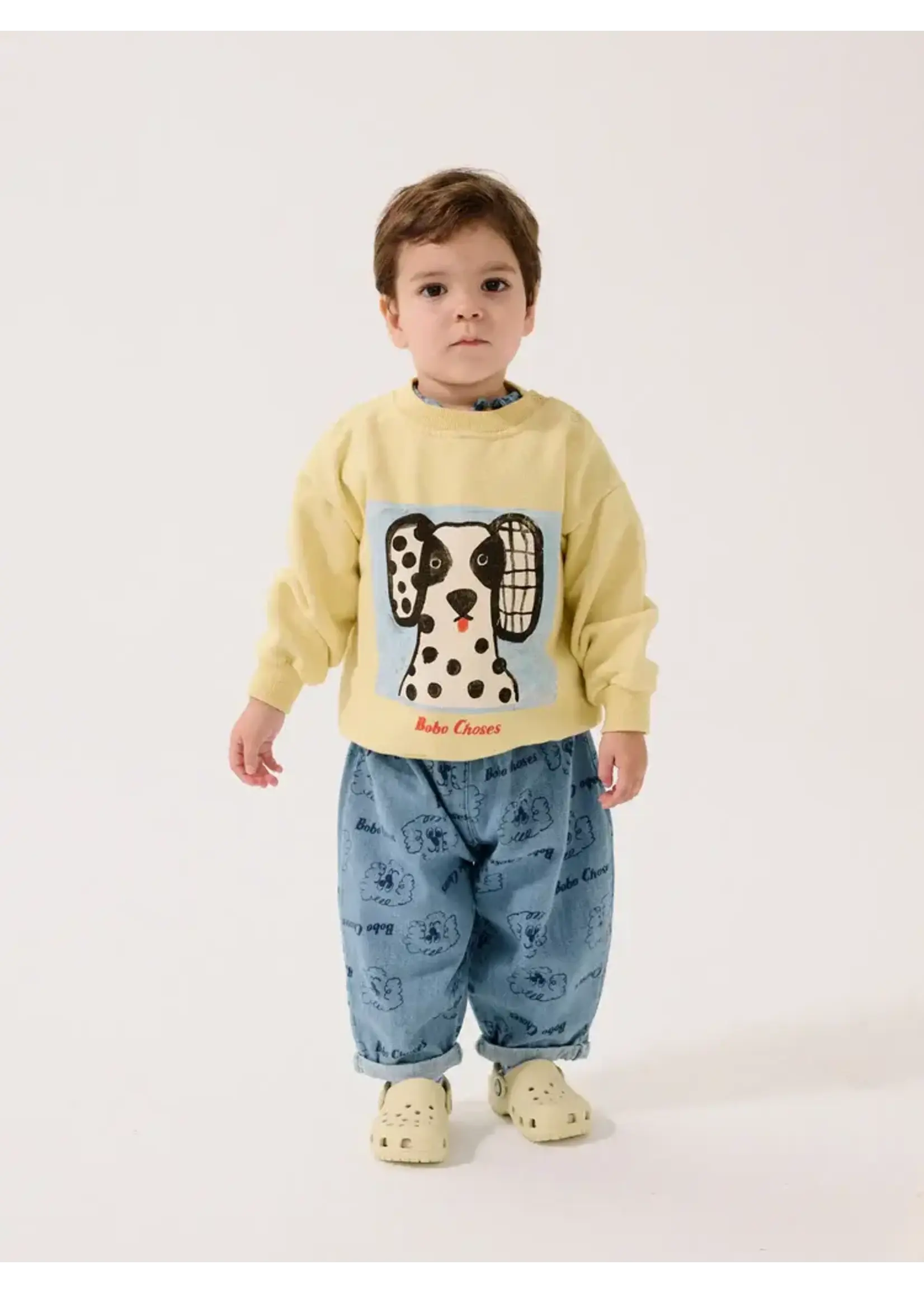BOBO CHOSES BOBO CHOSES BABY sweatshirt VAN DOG