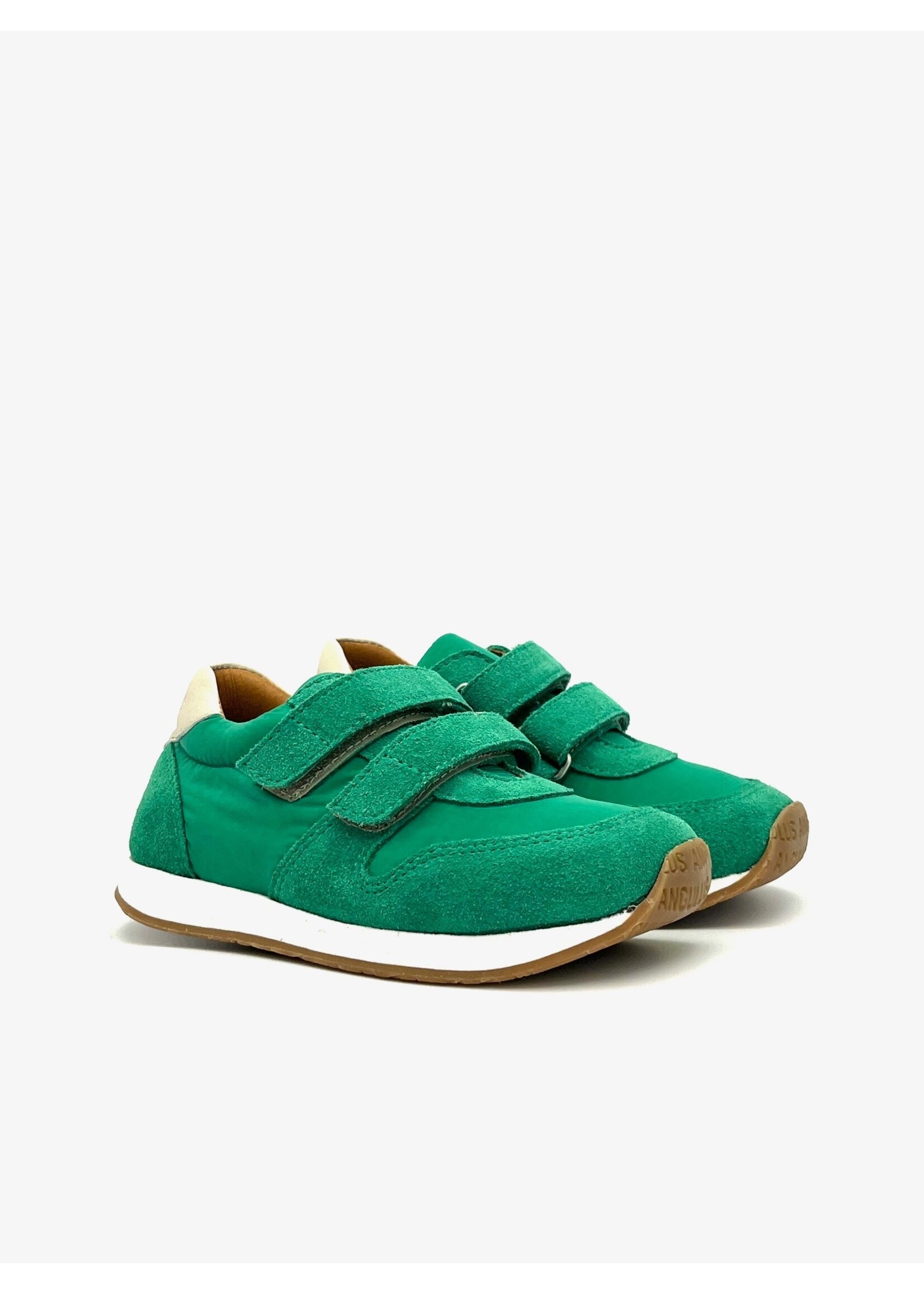 ANGULUS ANGULUS 3578-101-4552 SUE KLB