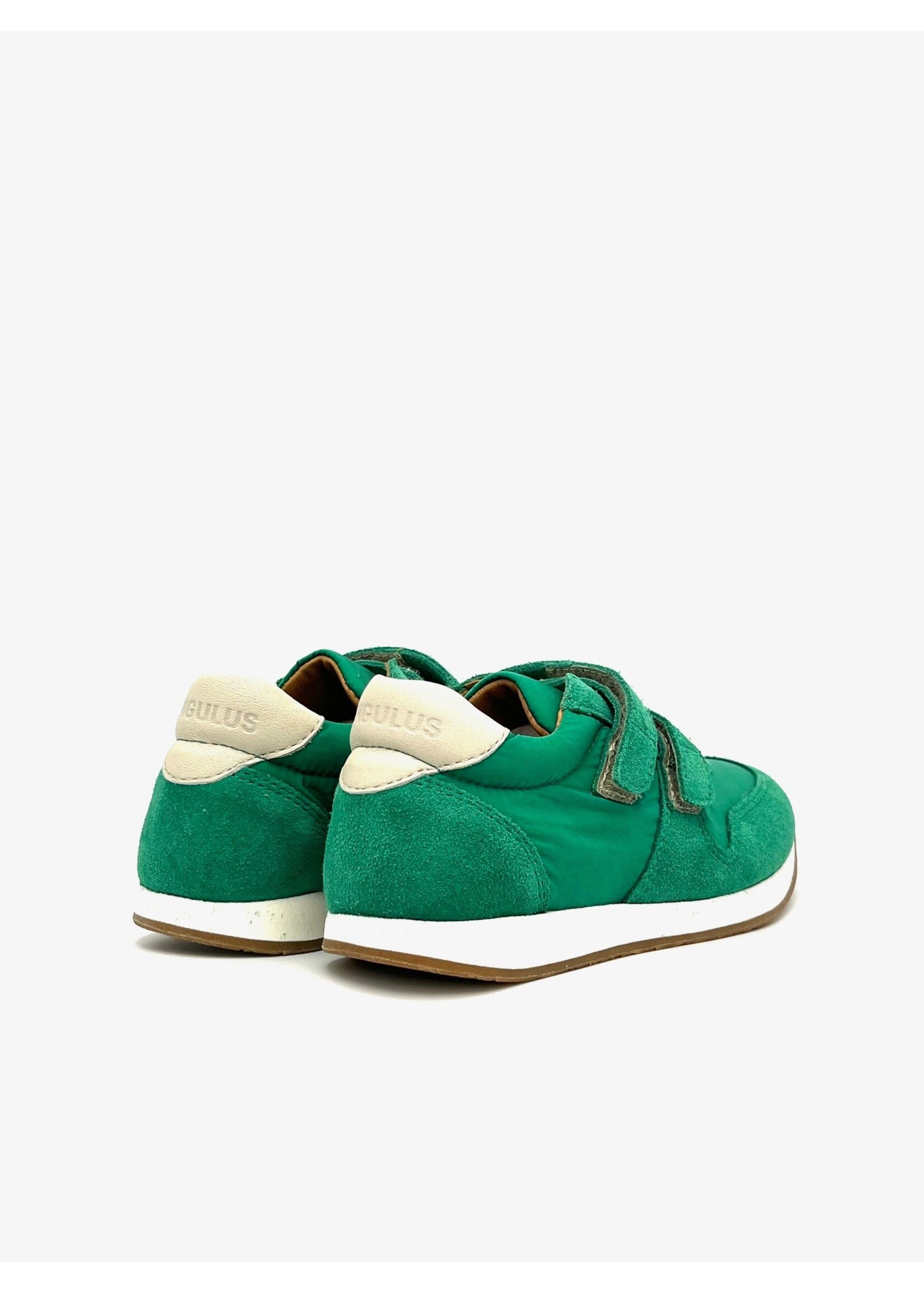 ANGULUS ANGULUS 3578-101-4552 SUE KLB