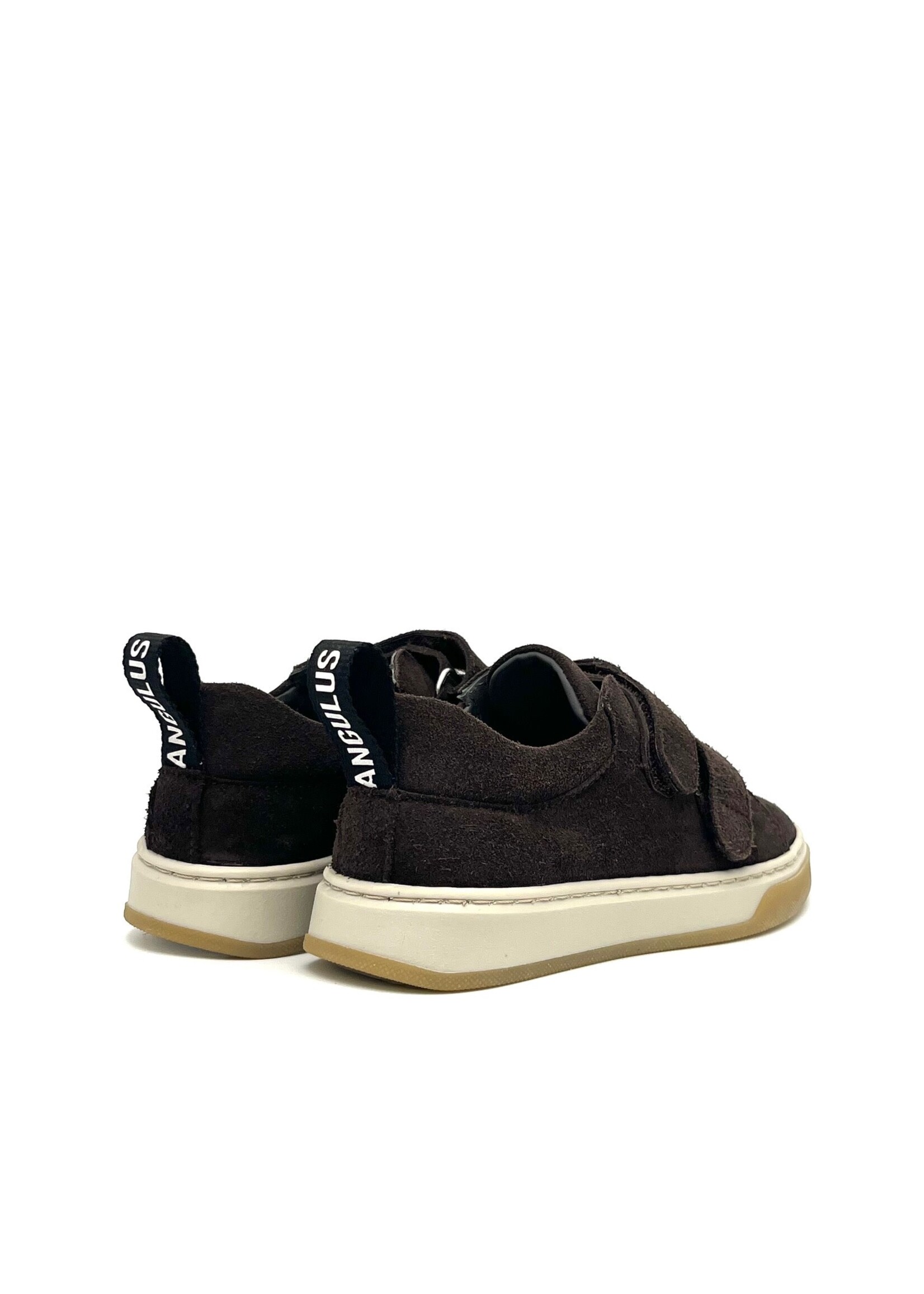 ANGULUS ANGULUS 3411-101-1779 MOSER KLB