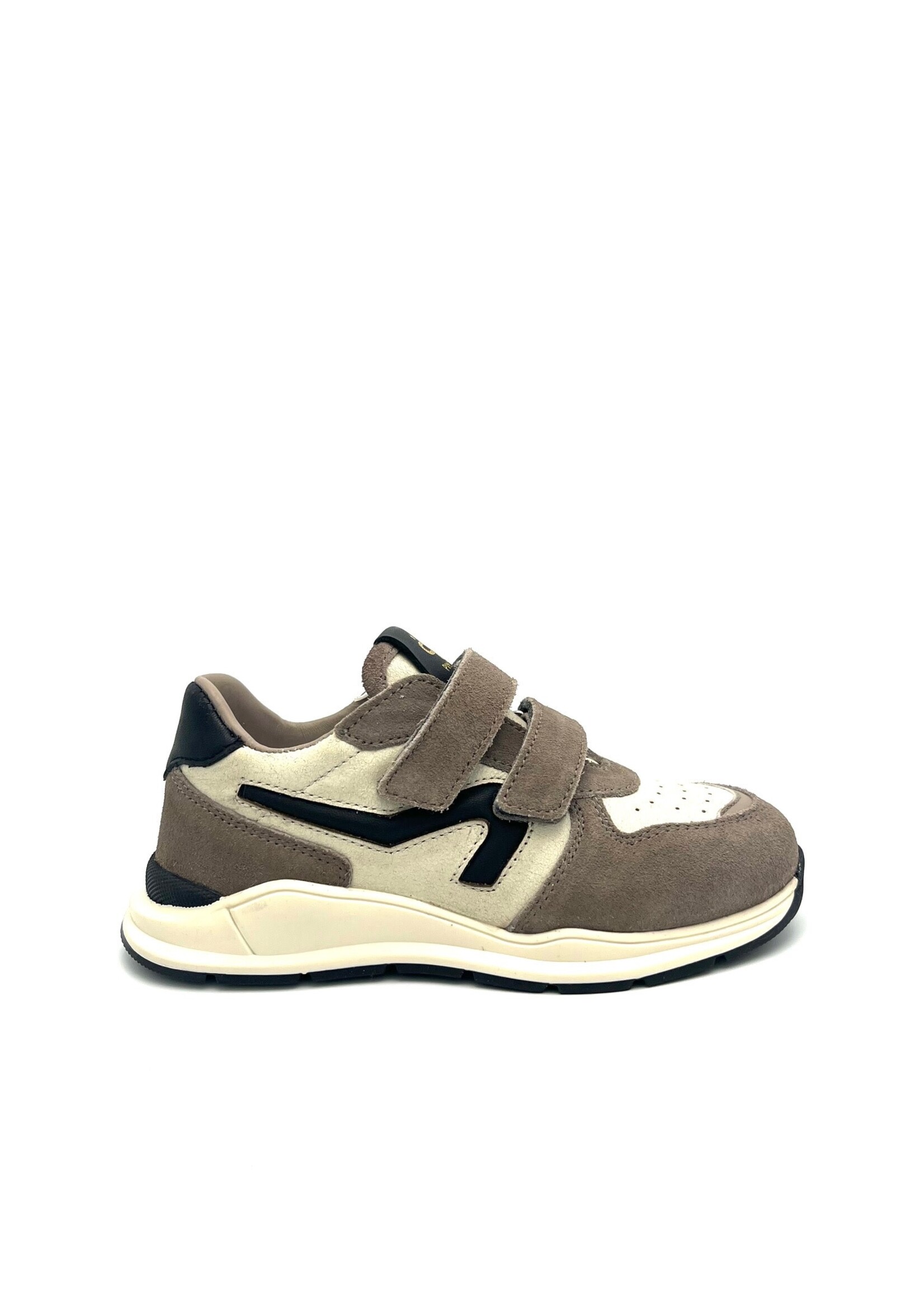 PINOCCHIO PINOCCHIO 1888 klittenband TAUPE