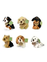 PLUCHE honden divers 11cm