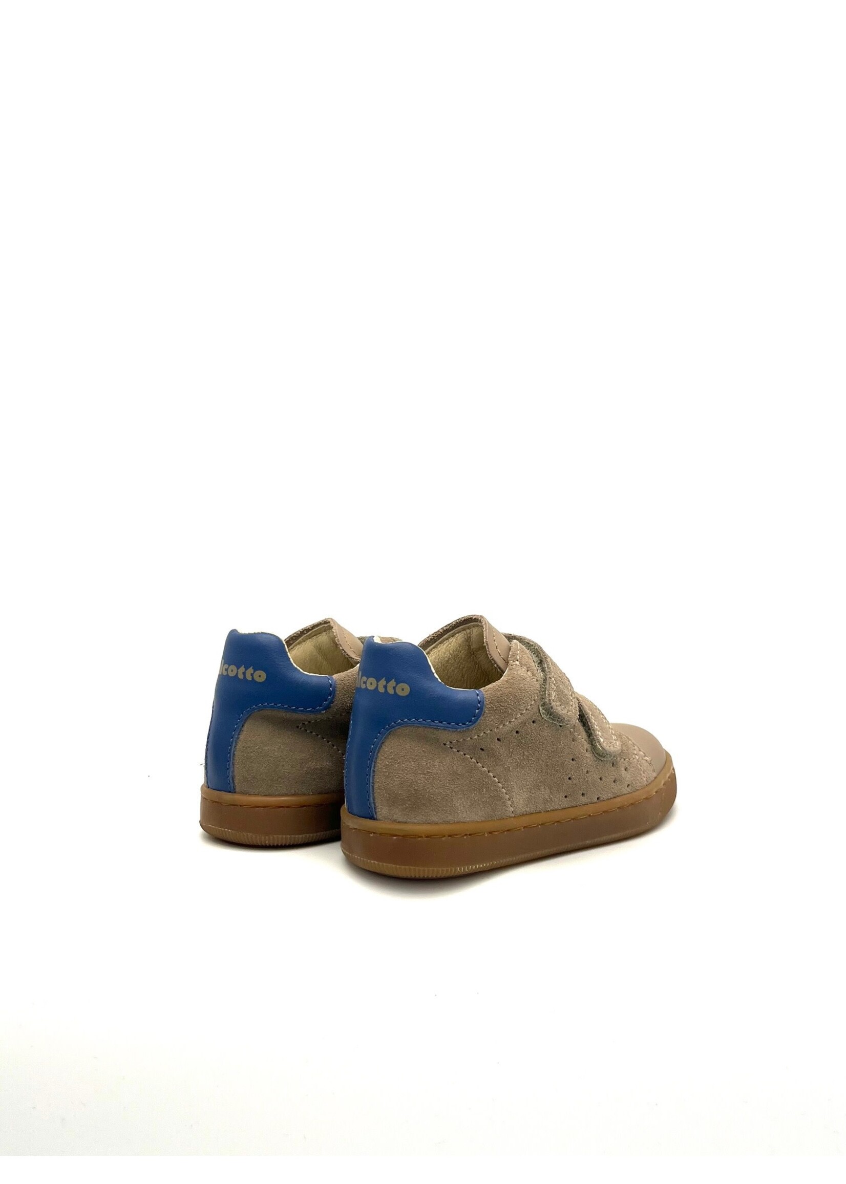 FALCOTTO * FALCOTTO adam TAUPE-AZURE