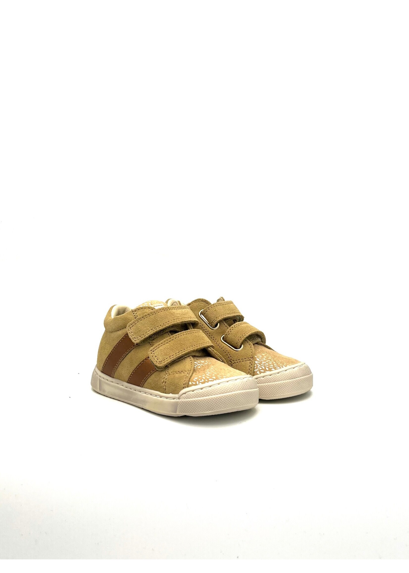 FALCOTTO *FALCOTTO gazer SAND-BRONZE