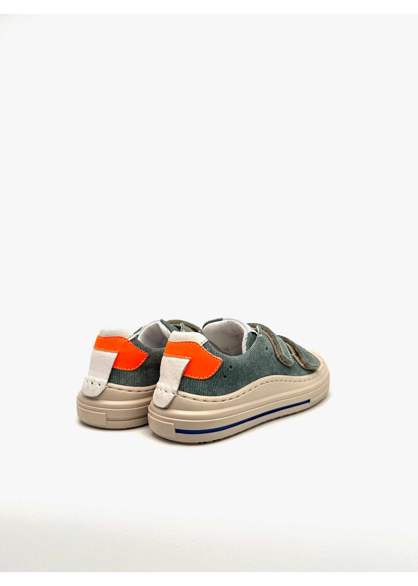 romagnoli ROMAGNOLI KLITTENBAND +NEUS alfa