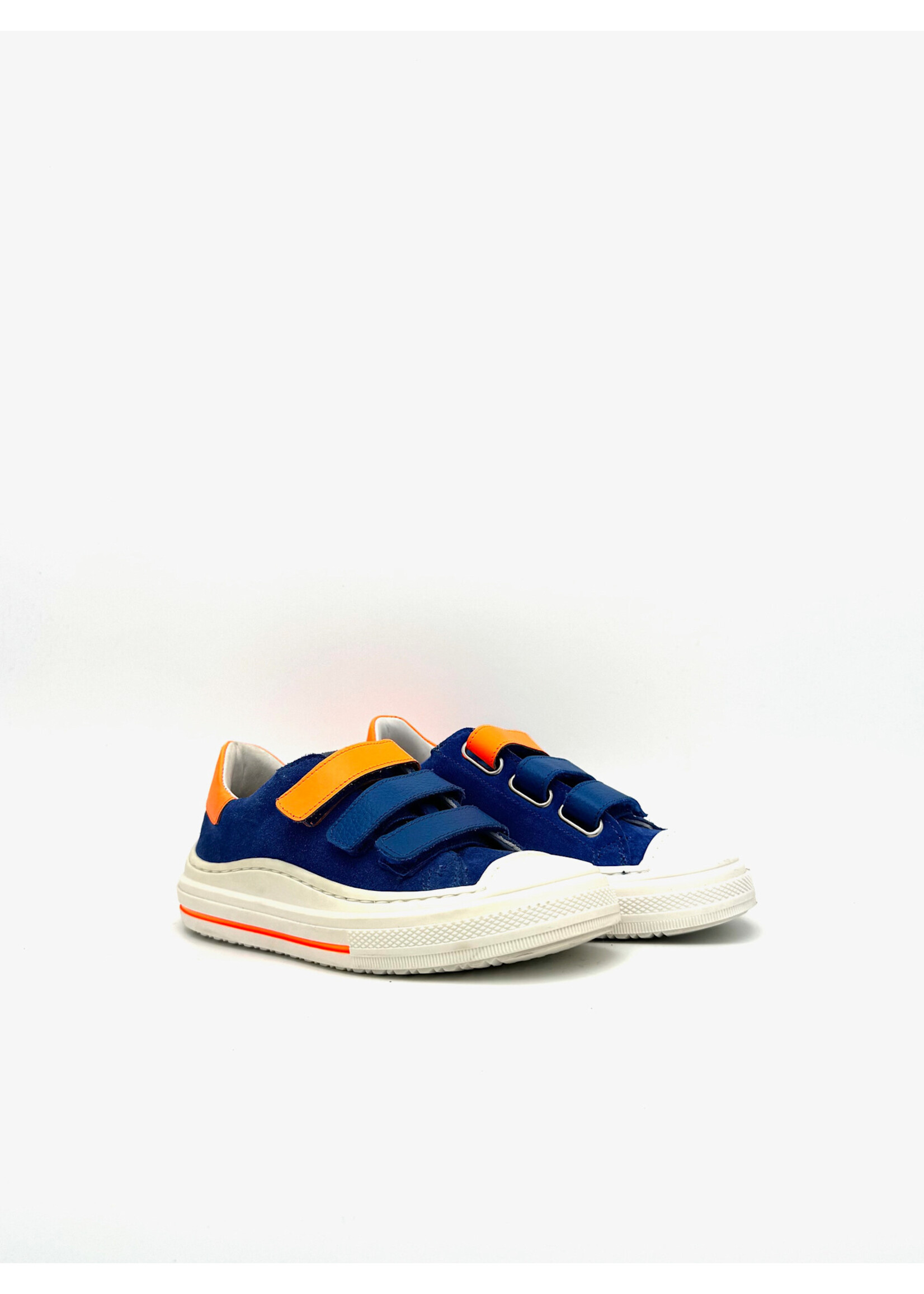 ZECCHINO D’ORO ZECCHINO D’ORO KLB BLAUW/ORANJE