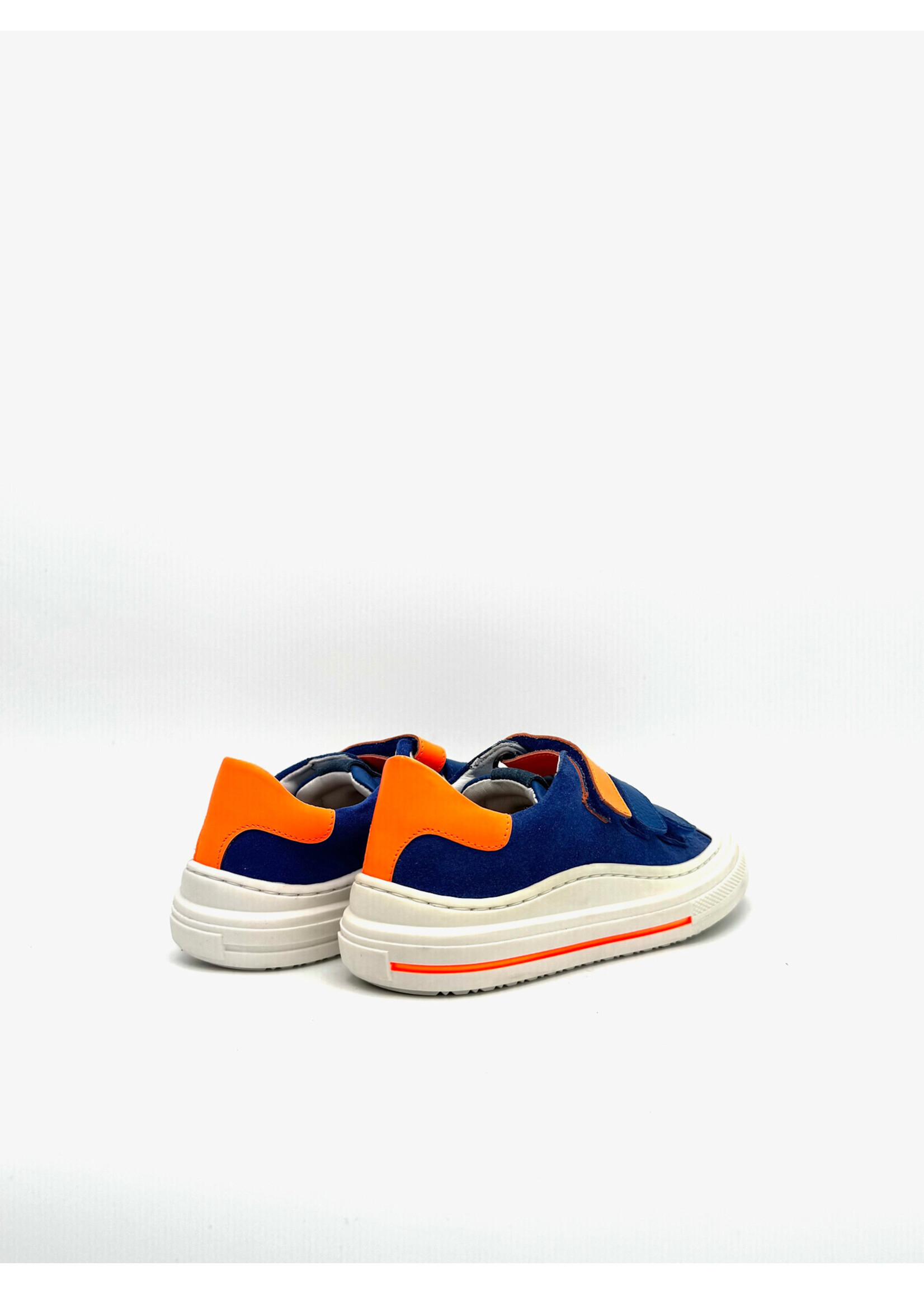 ZECCHINO D’ORO ZECCHINO D’ORO KLB BLAUW/ORANJE