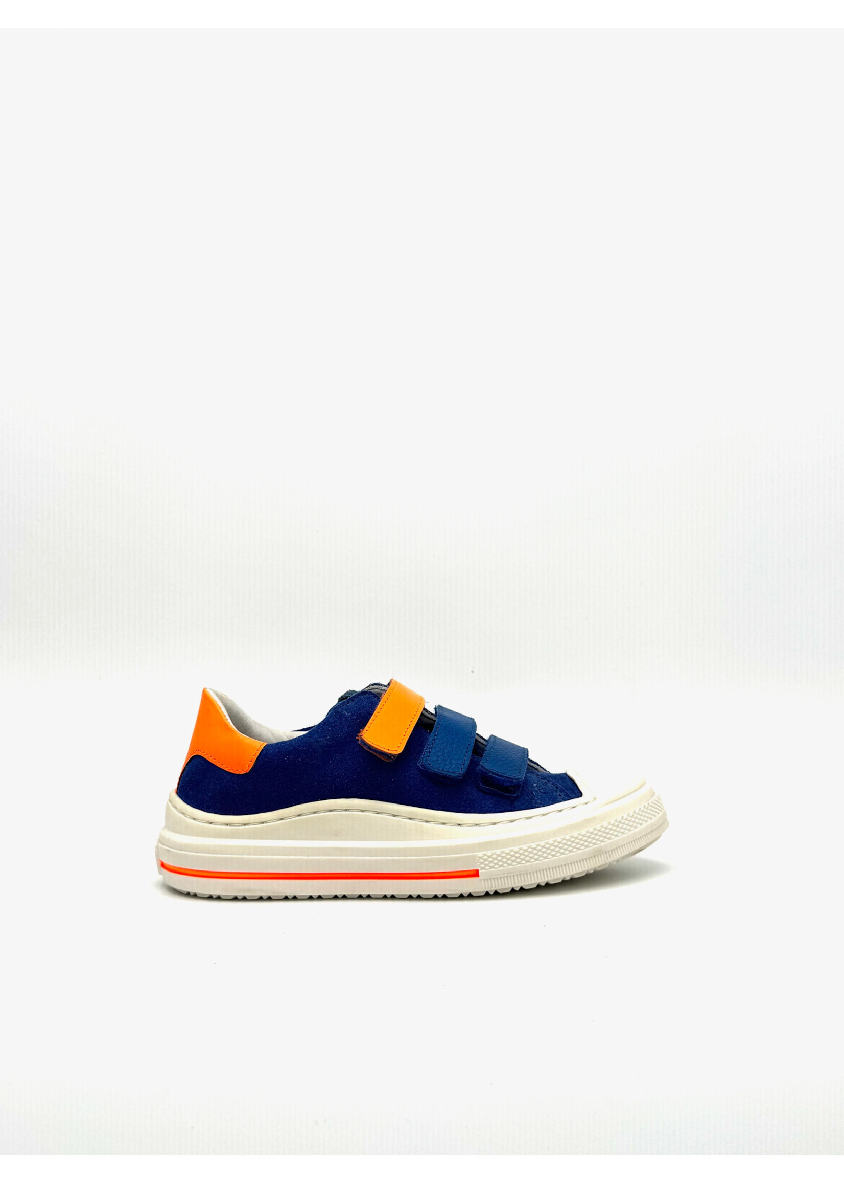 ZECCHINO D’ORO ZECCHINO D’ORO KLB BLAUW/ORANJE