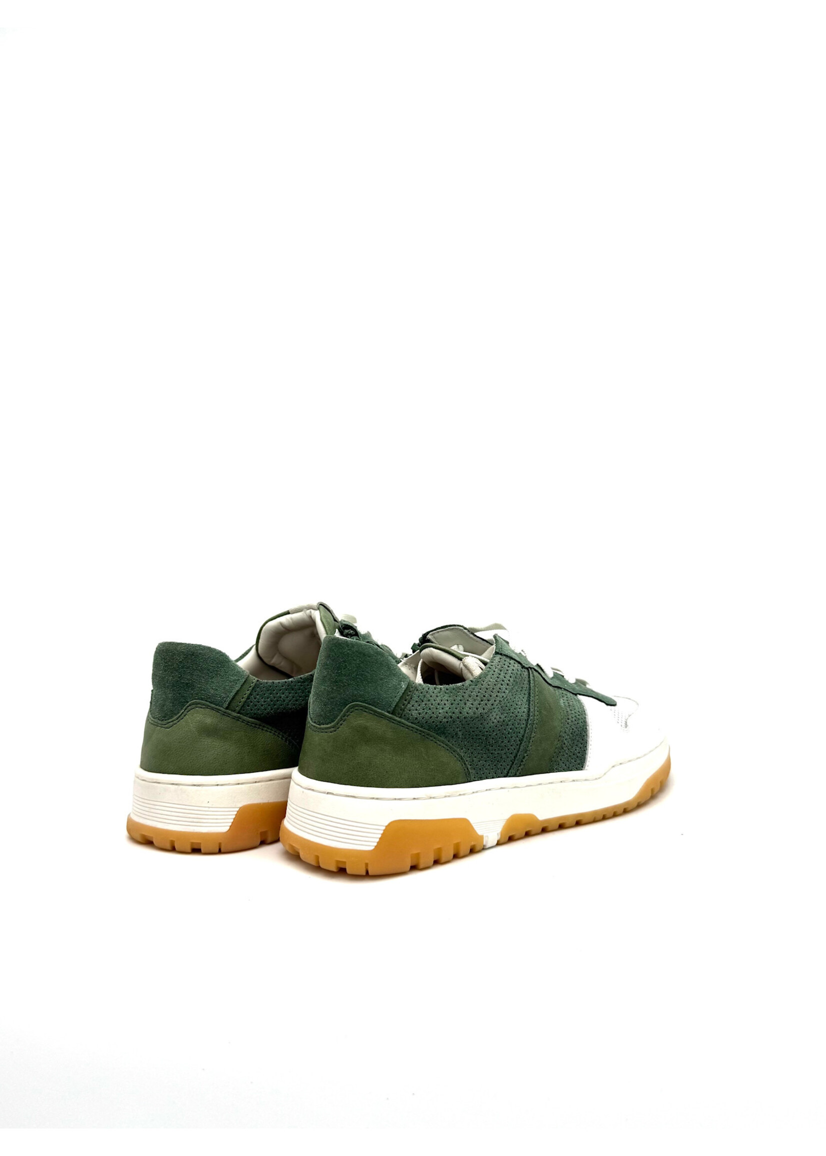 ZECCHINO D’ORO ZECCHINO D'ORO V+R GROEN/WIT