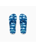 REEF REEF slippers ROYAL SHARKS