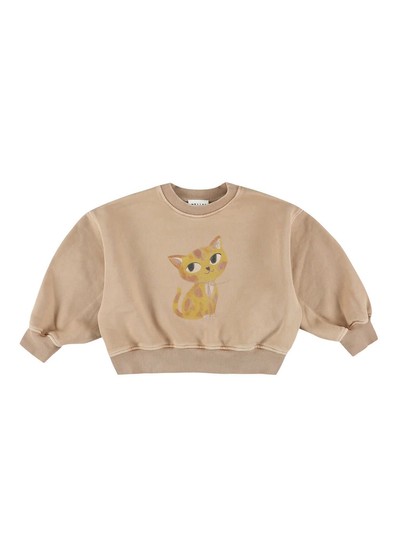 MORLEY MORLEY sweat ZYCO JAPCAT