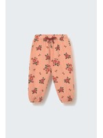 cozmo COZMO baby pants BECA