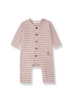 1+IN THE FAMILY 1+ IN THE FAMILY one piece TREVISO NUDE