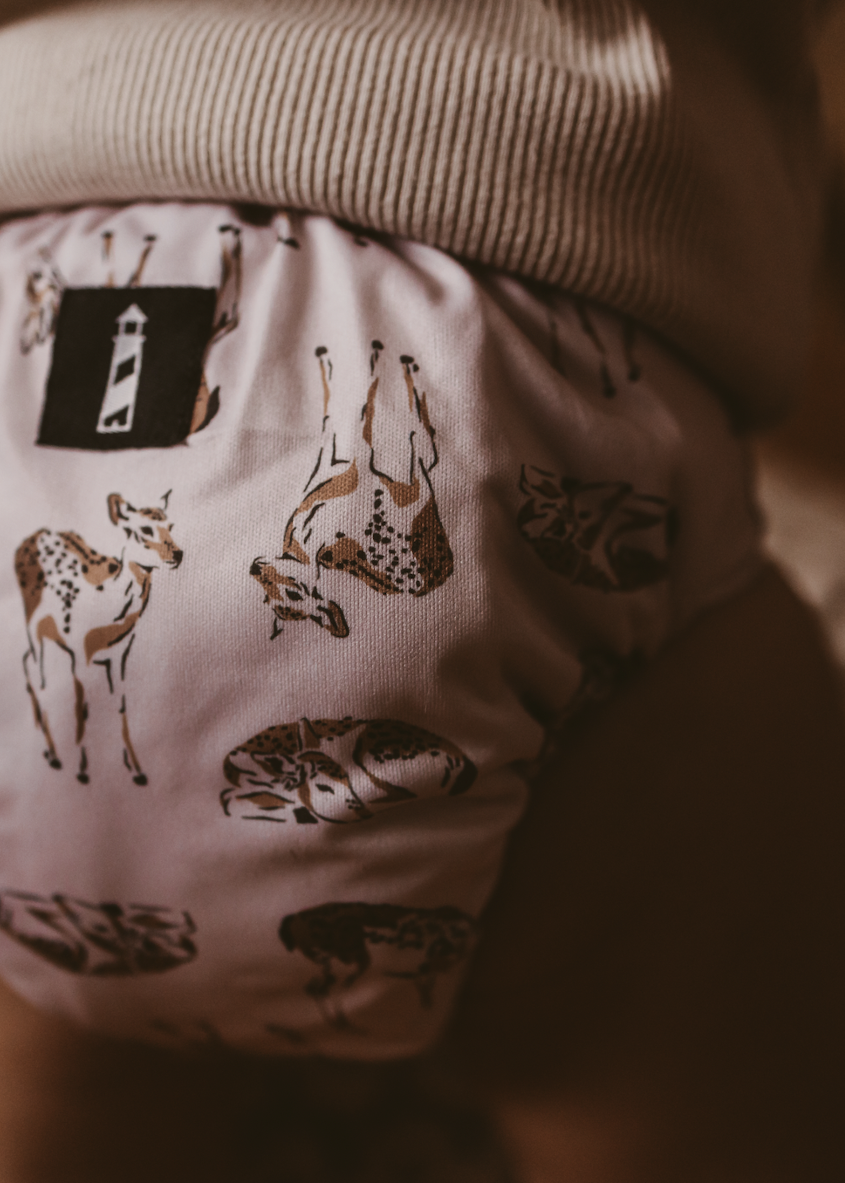 Lighthouse Kids Company All-in-One Diaper - Deer