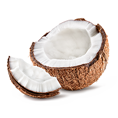 Coconut 