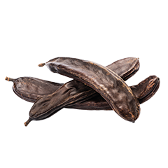 Carob 