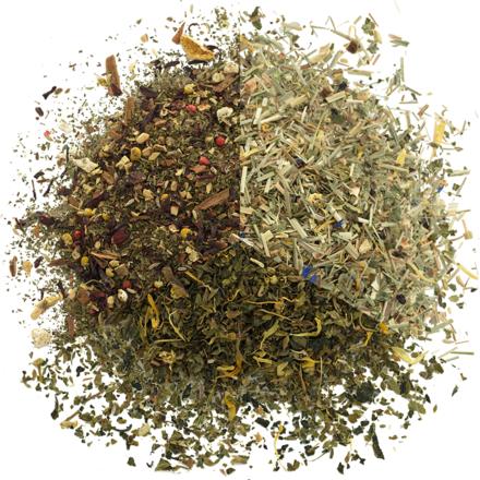 Women's Wellness Tea Taste box