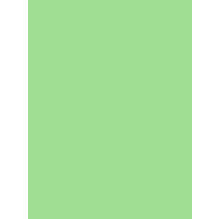 Flex Folie - Pastel Groen - Vanaf: