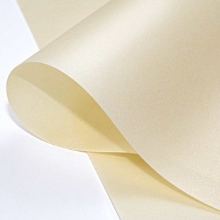 Pearl Champagne | Vel 50 x 30cm