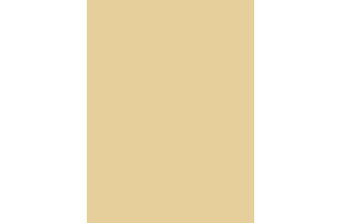 Plotter Vinyl glanzend - Beige - 2€ p/m