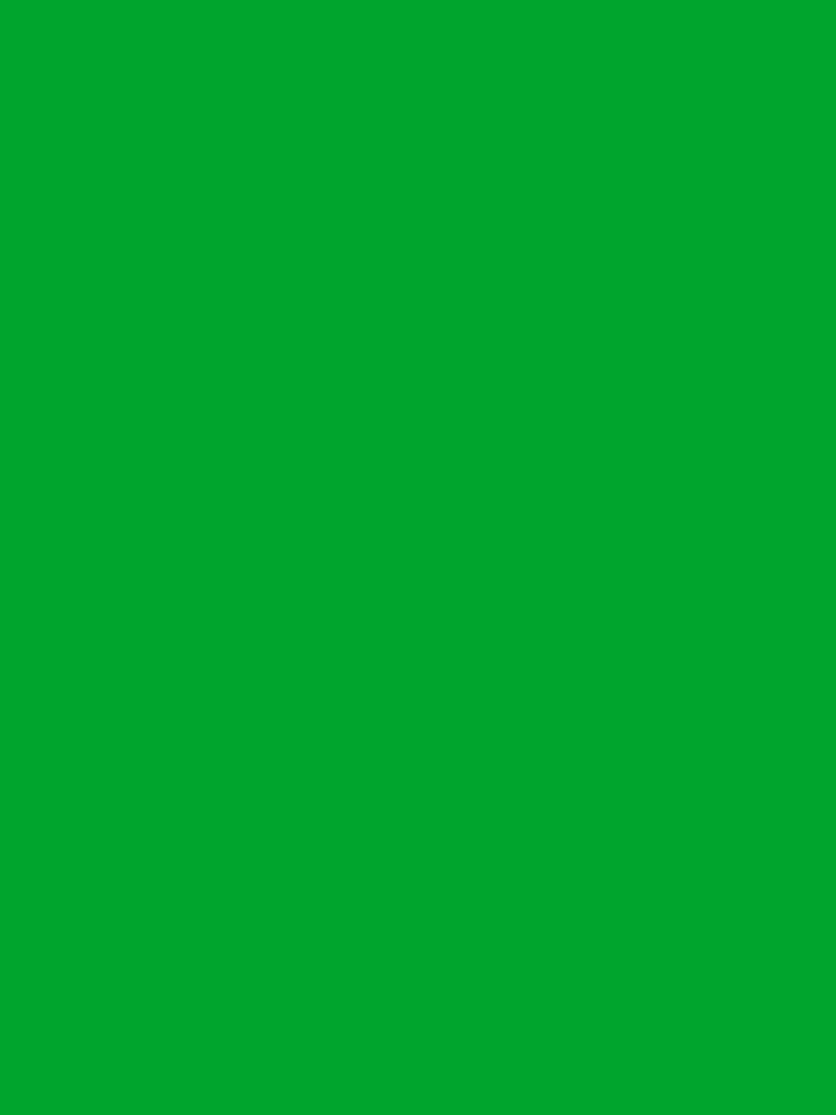 Plotter Vinyl glanzend - Grasgroen - 2€ p/m