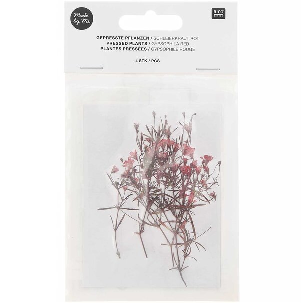 Geperste bloemen - Rood Gipskruid - 8 stuks