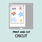 Workshop | Print and cut Cricut | 03-04-2024