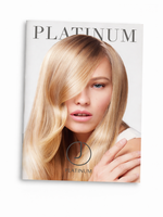 J BEVERLY HILLS  Folder  Platinum