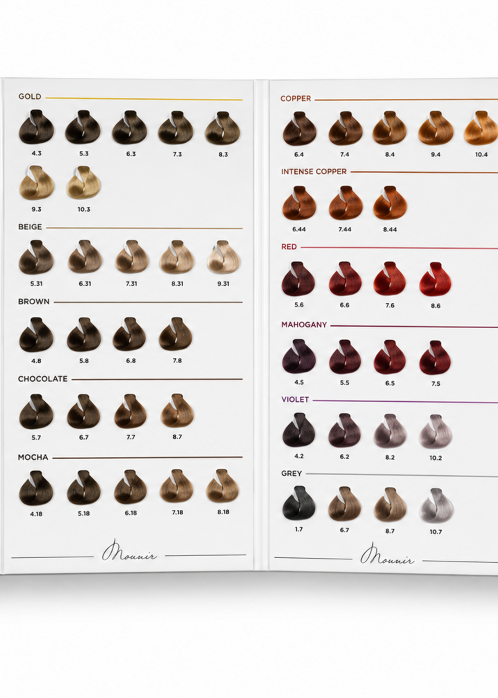 MOUNIR  Color Chart Big