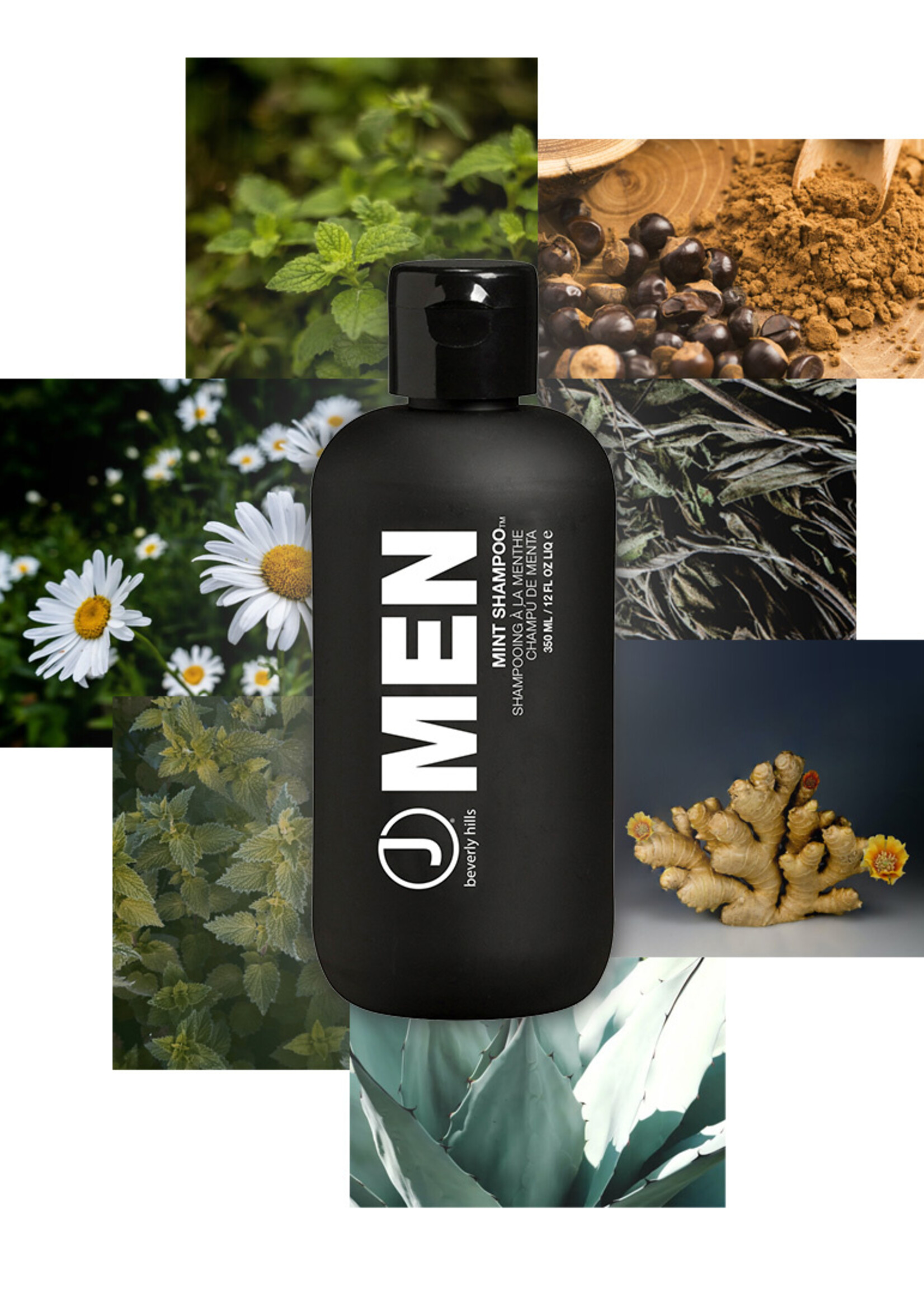 J BEVERLY HILLS  Mint Shampoo