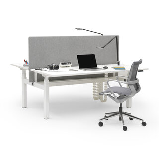 MY Workplace InMotion duo wit