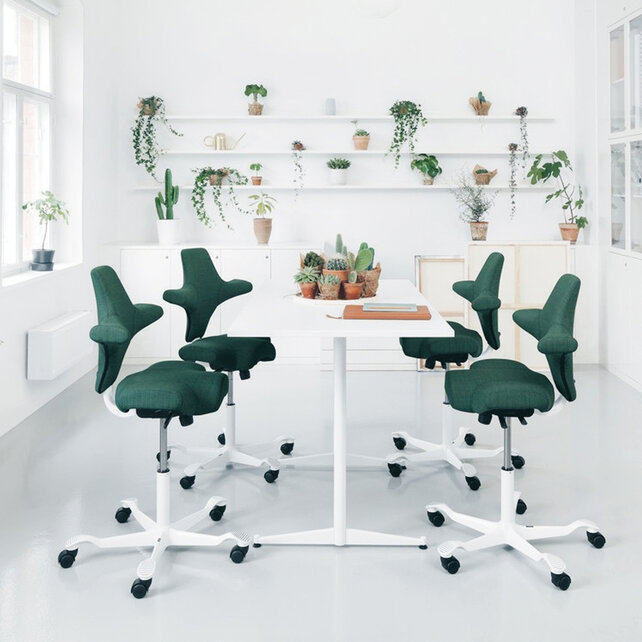 HAG Capisco 8106 wit - Capture 5701